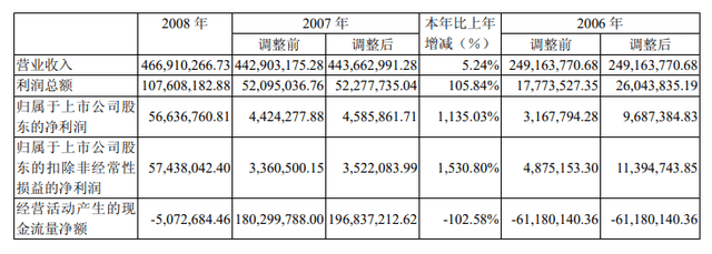 来源：绿景控股2008年财报