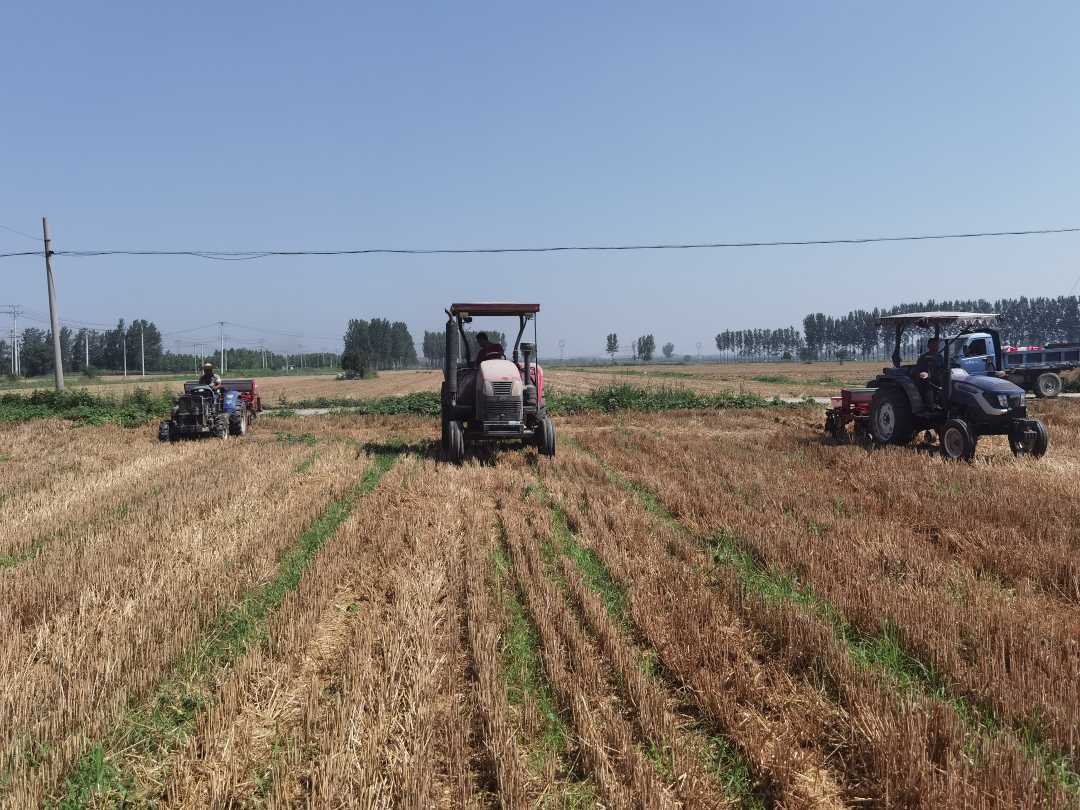 涞水县义安镇下庄村夏播现场.