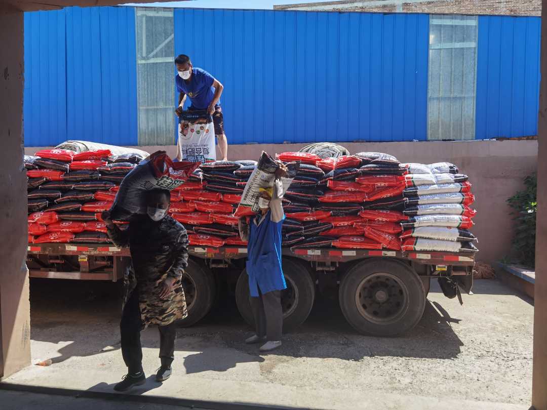 涞水县农之友经销部农资仓储站装卸工人正在卸化肥.