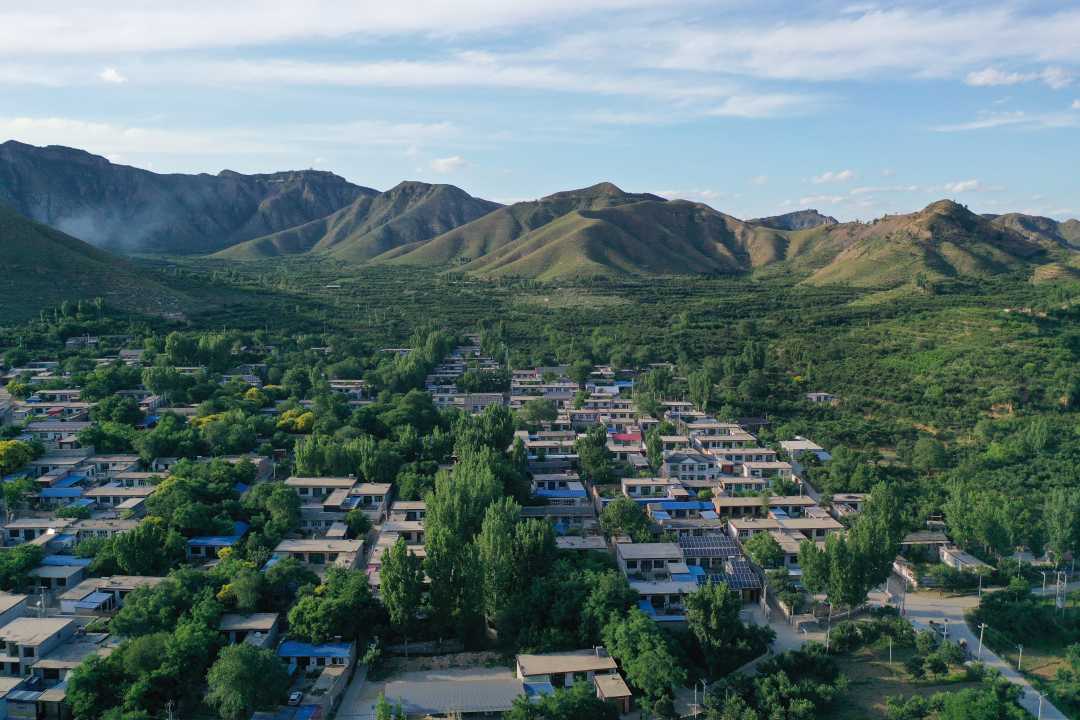 保定徐水区发展山区林果业助农民增收