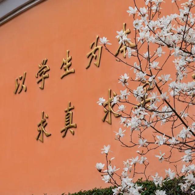 洞井商贸城焕新升级 规划方案引领区域商业新潮流