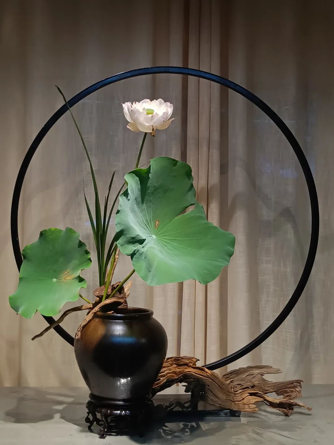 中日插花流派荷花插花荟萃惊艳了夏日