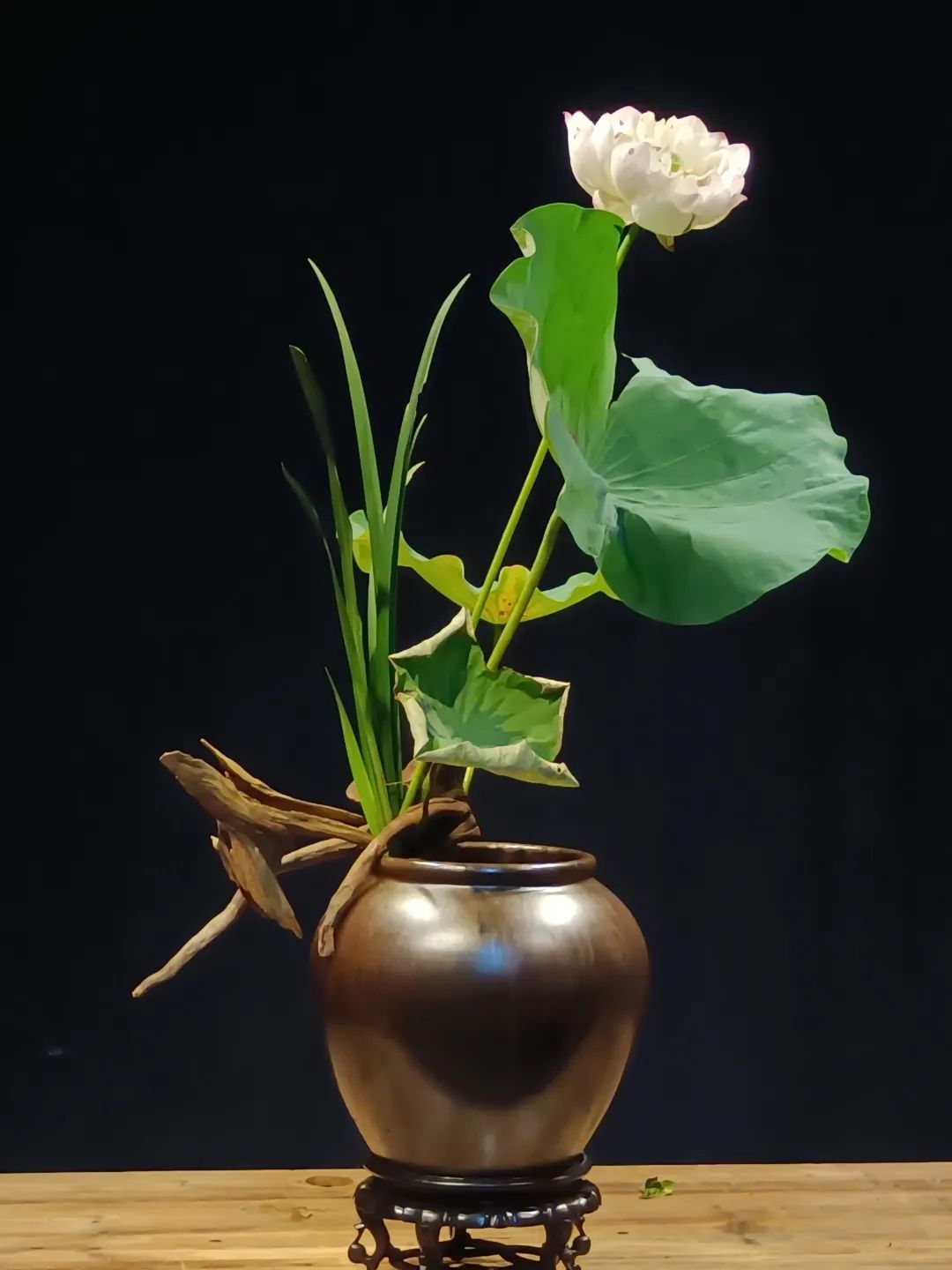 中日插花流派荷花插花荟萃惊艳了夏日