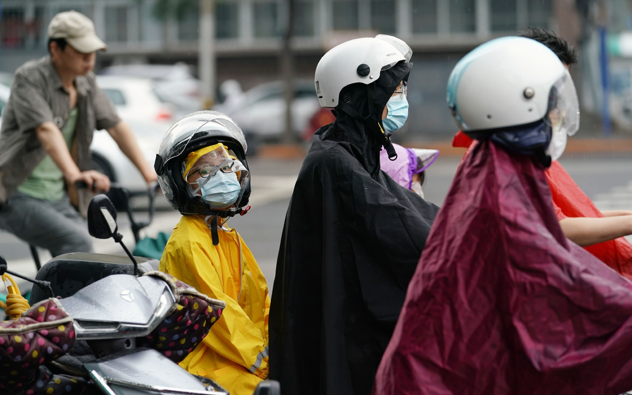 广渠路上,骑电动车的家长给孩子戴上了安全头盔.新京报记者 裴剑飞 摄