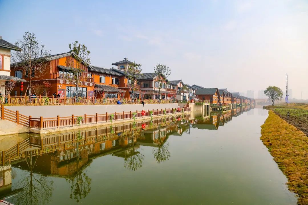 这里是大美荆州诗与远方竞芳华