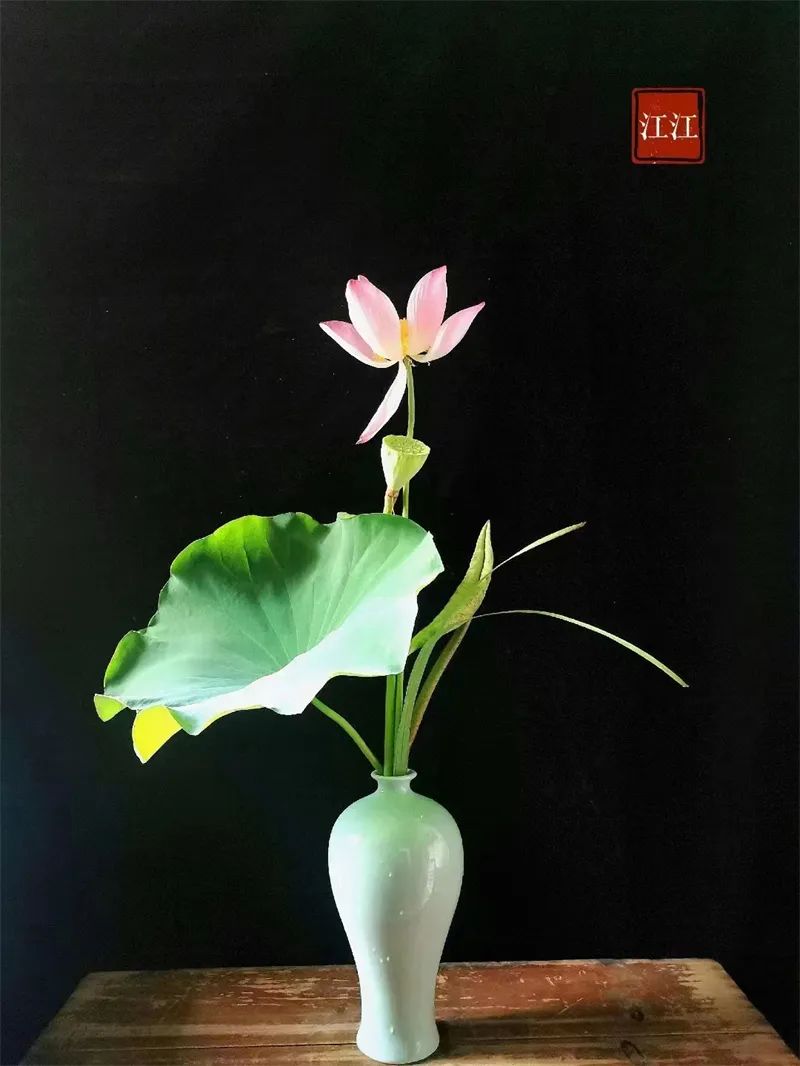 中日插花流派荷花插花荟萃惊艳了夏日