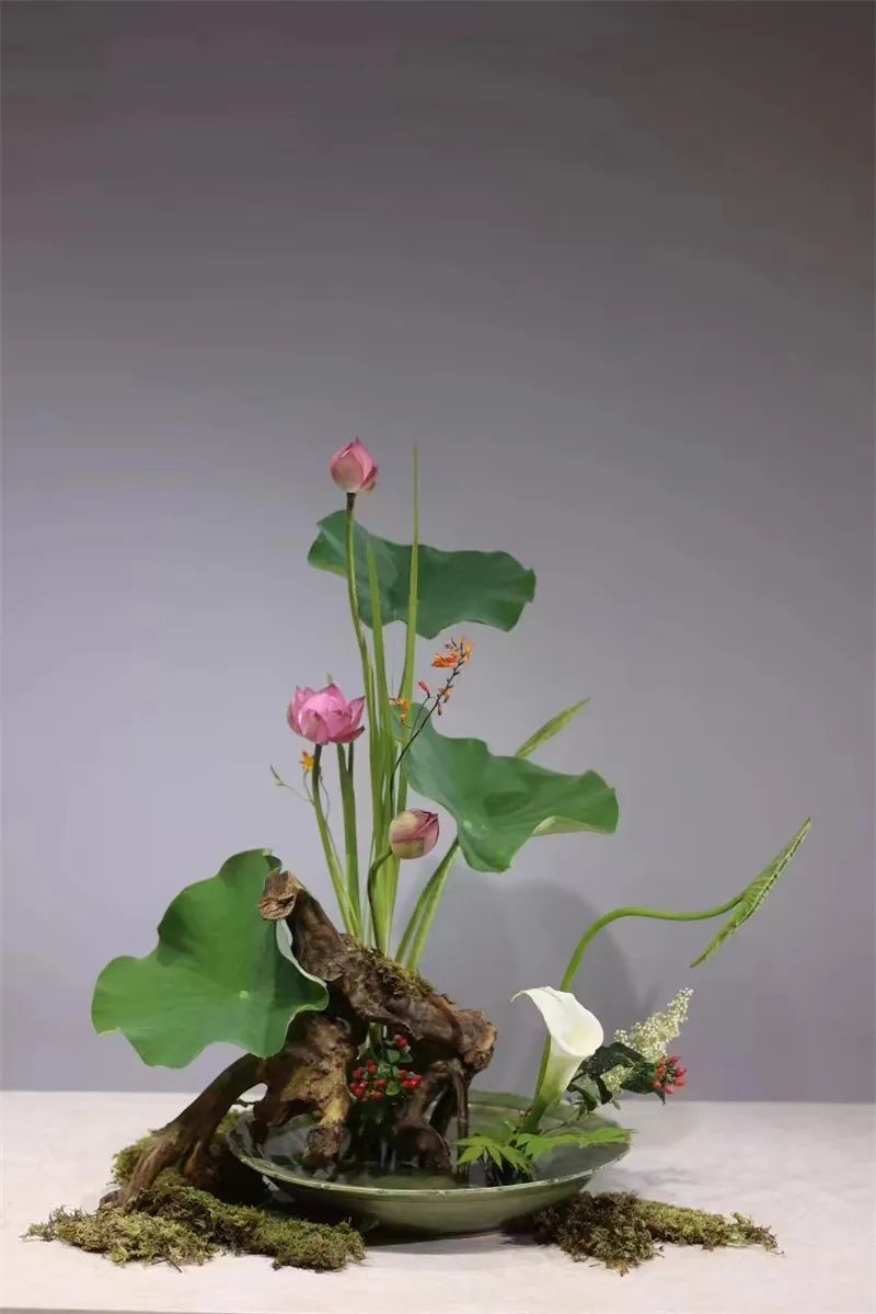 中日插花流派荷花插花荟萃惊艳了夏日