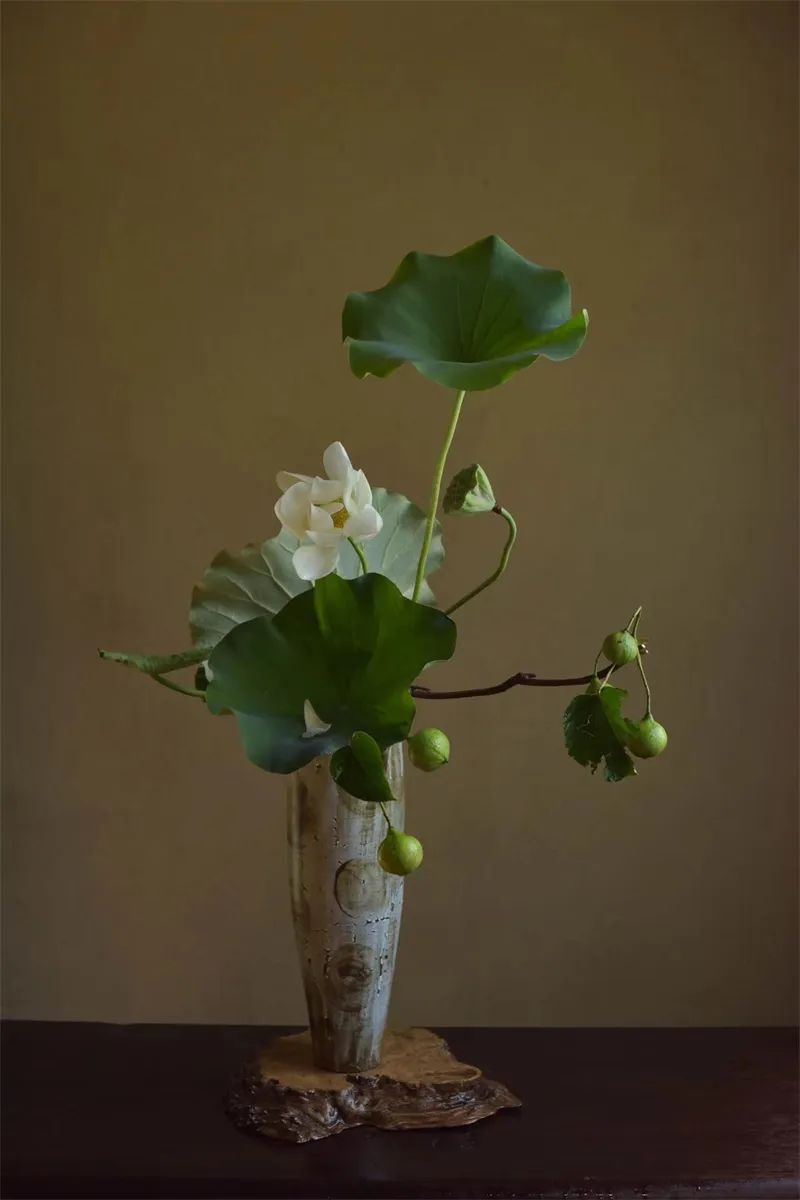 中日插花流派荷花插花荟萃惊艳了夏日