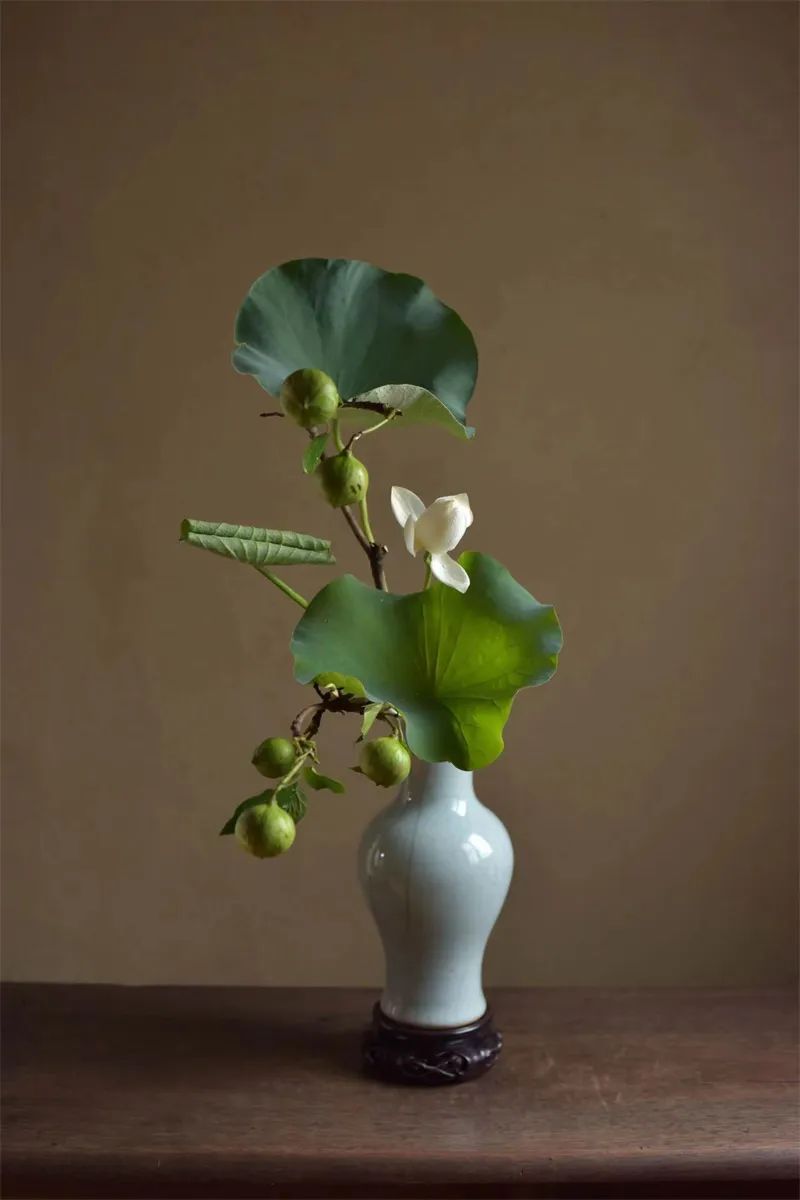 中日插花流派荷花插花荟萃惊艳了夏日