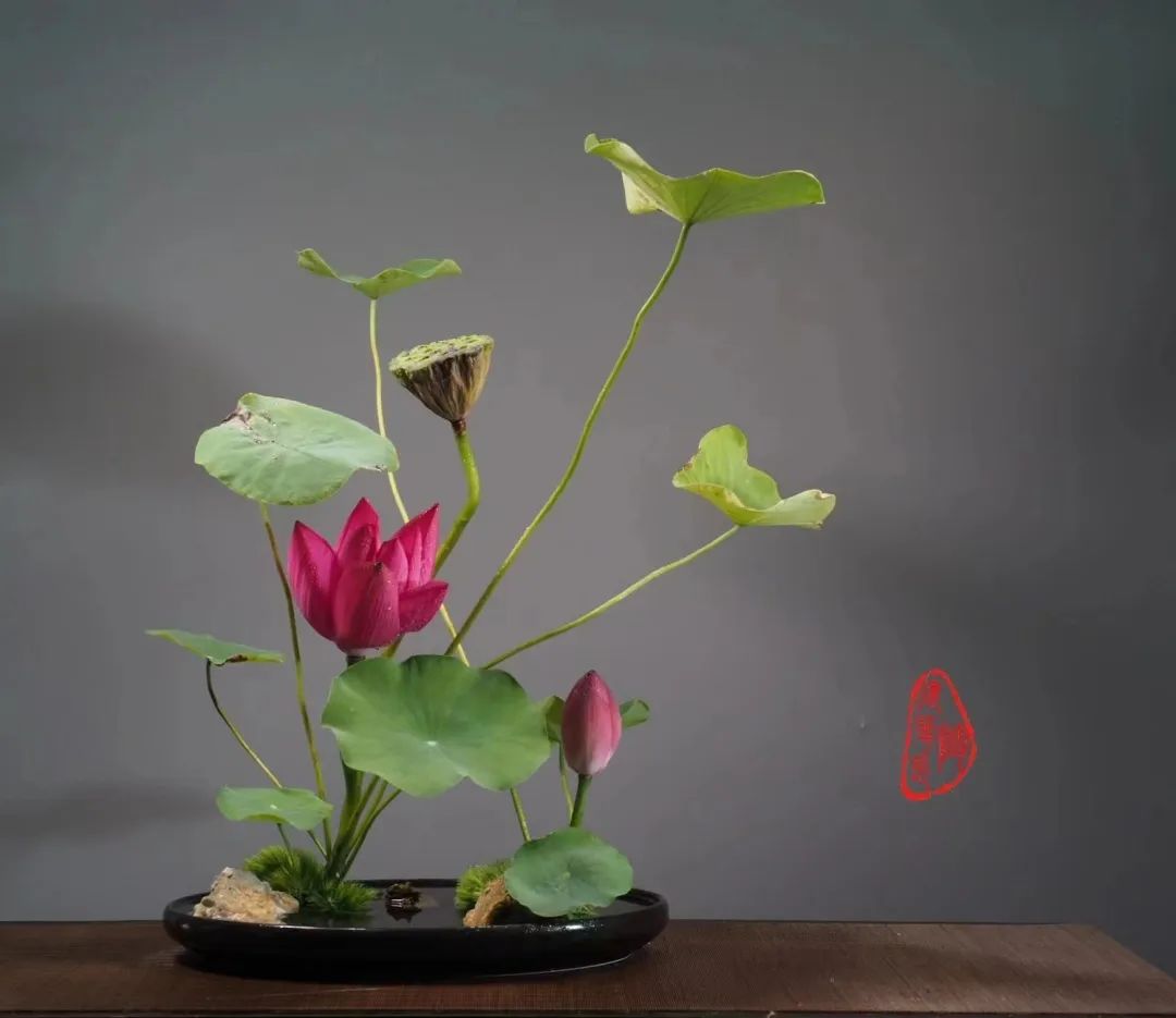 中日插花流派荷花插花荟萃惊艳了夏日