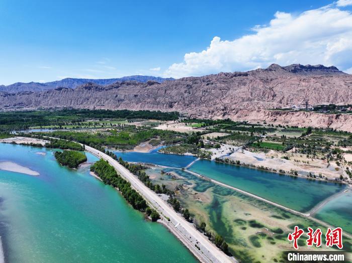 航拍贵德县黄河岸畔绿意盎然.马铭言 摄