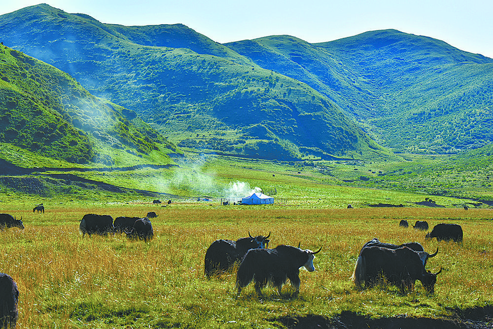 美丽的草原我的家。路生贵 摄