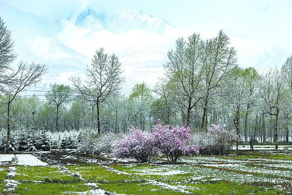 北川春雪。阿贵仁 摄