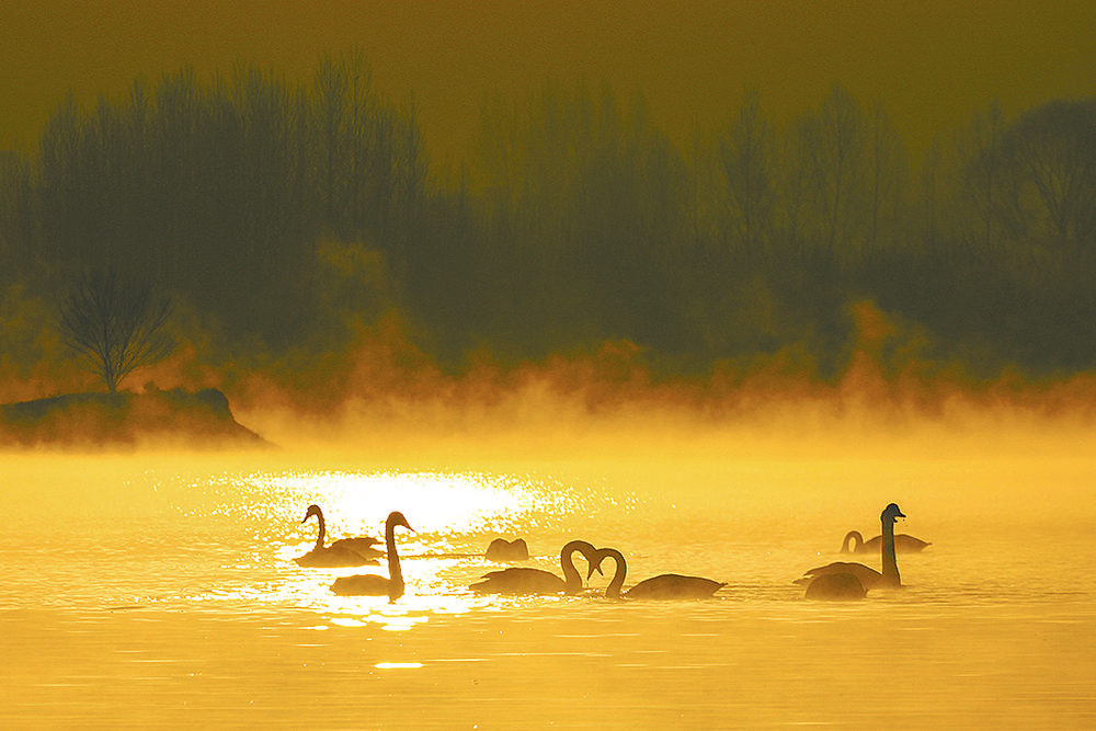 小故事。景召存 摄