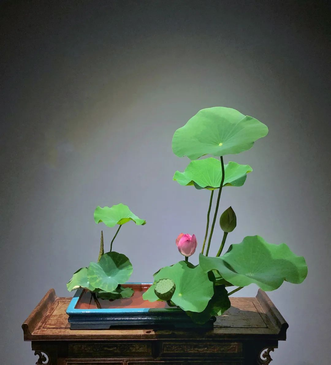 中日插花流派荷花插花荟萃,惊艳了夏日!