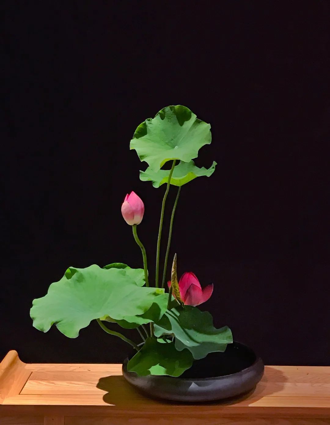 中日插花流派荷花插花荟萃惊艳了夏日