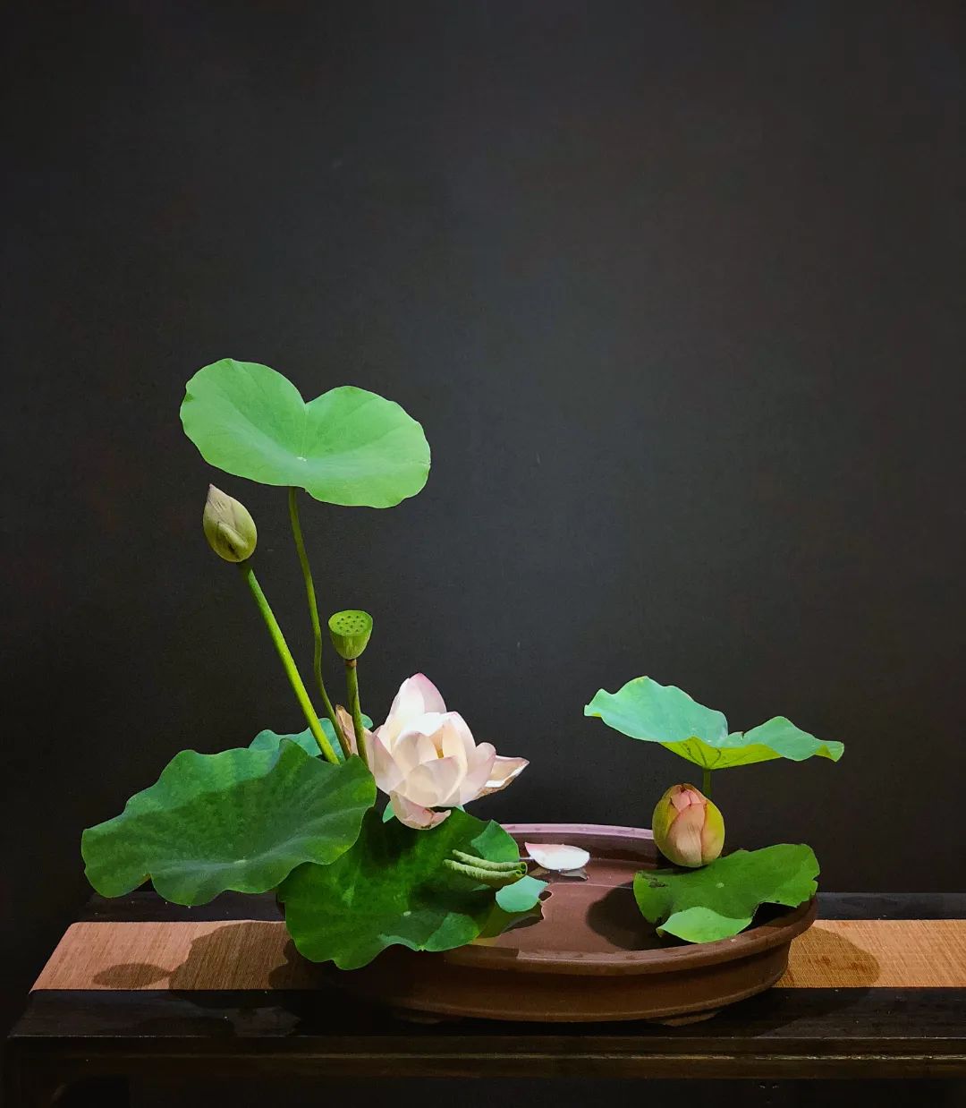 中日插花流派荷花插花荟萃,惊艳了夏日!