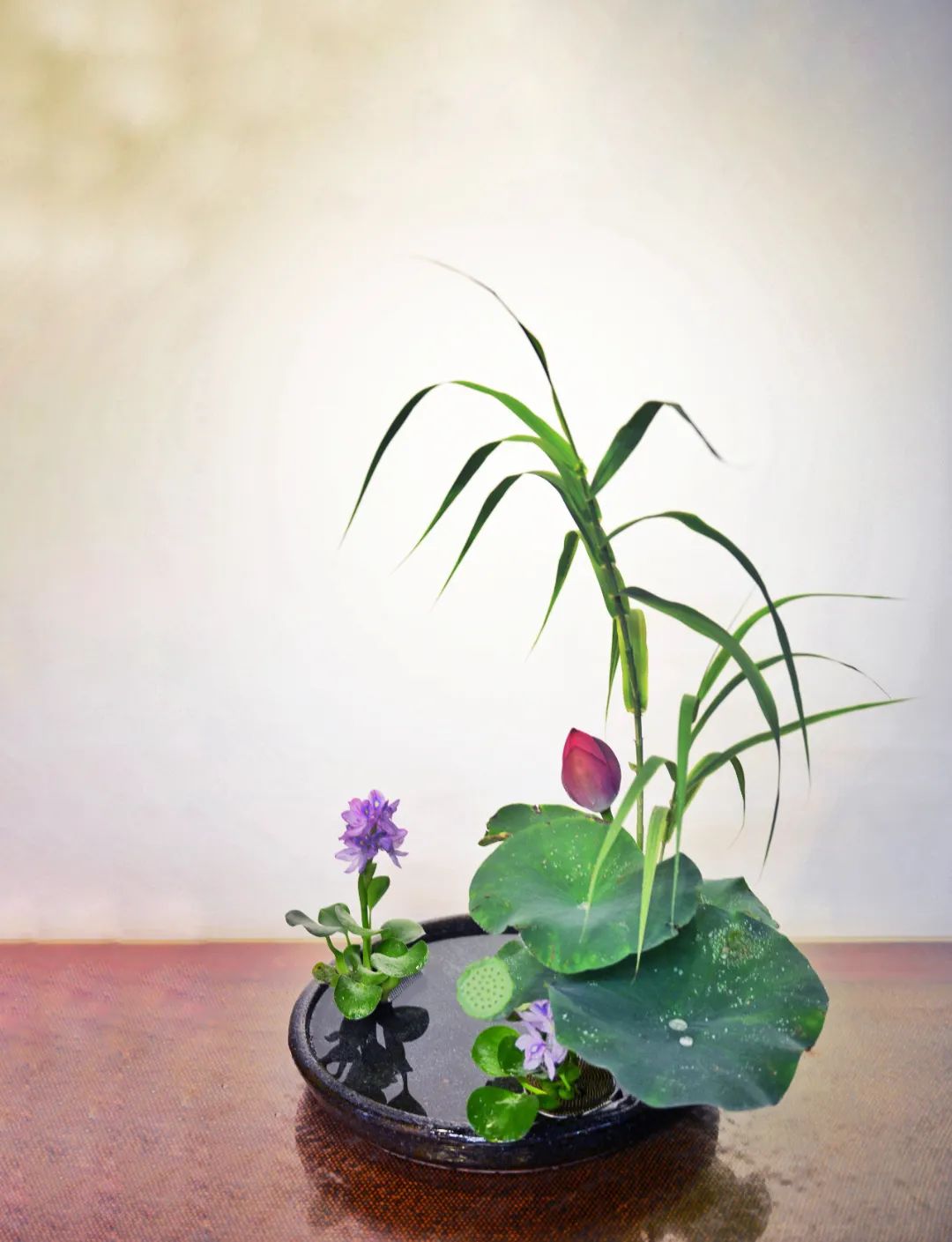 中日插花流派荷花插花荟萃惊艳了夏日