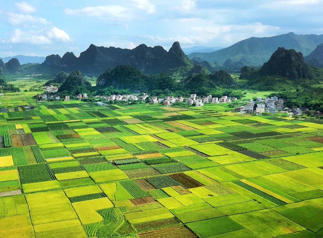 阳春:加快发展5大百亿级产业集群|阳江市_新浪财经_新浪网