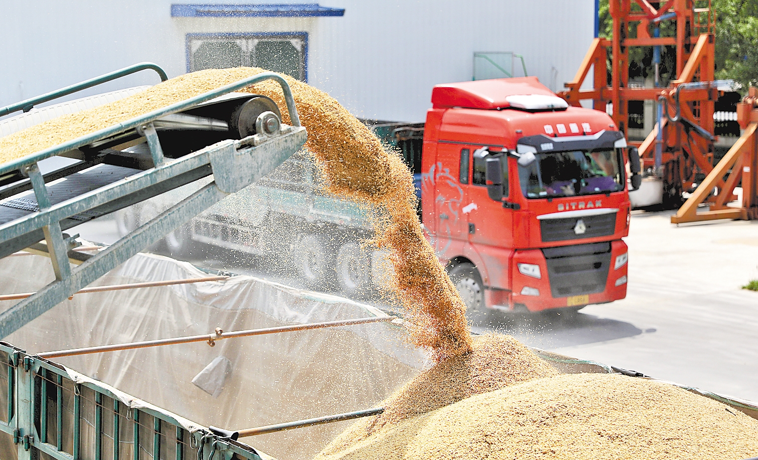 粮食产能稳定提升 乡村振兴开局良好|乡村振兴_新浪财经_新浪网