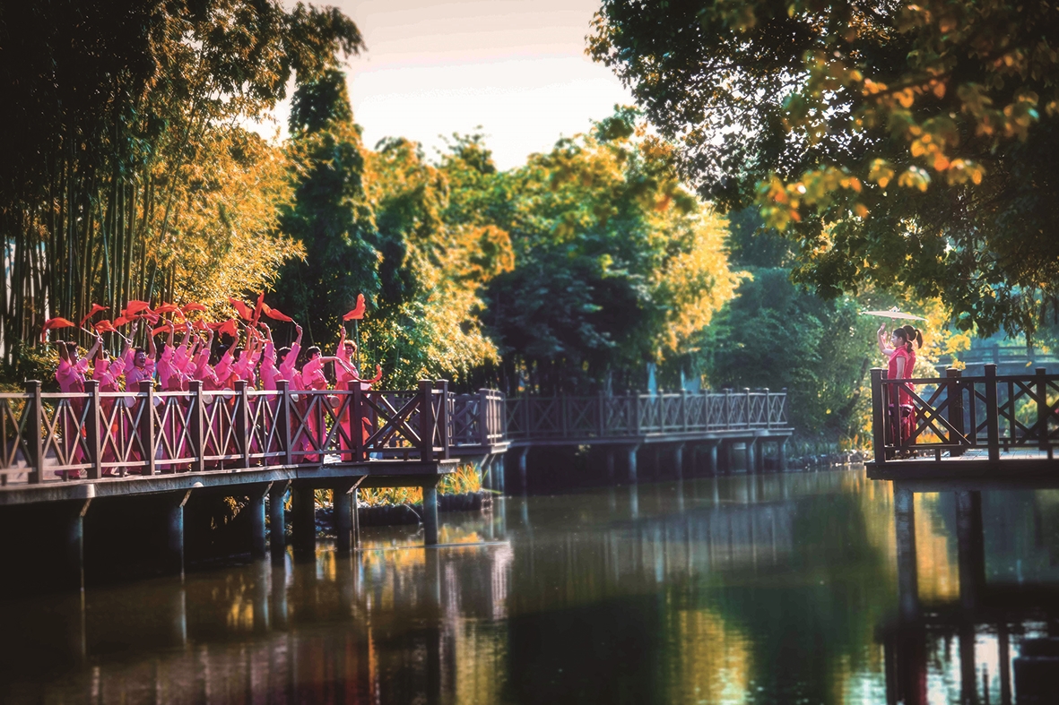 「嘉善县」|花海_新浪财经_新浪网