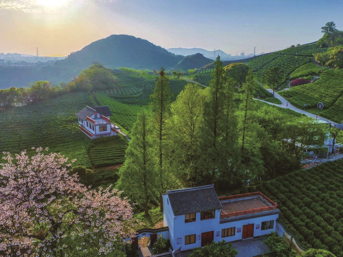 「海盐县」_新浪财经_新浪网