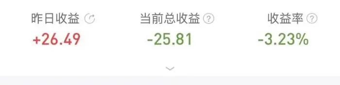 基金收益。受访者供图