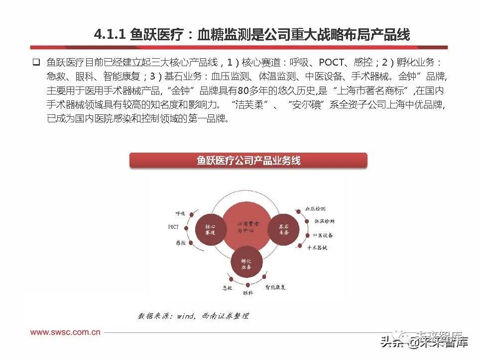 報告節選:微泰醫療專注於糖尿病領域,目前已有貼敷式胰島素泵及倍穩