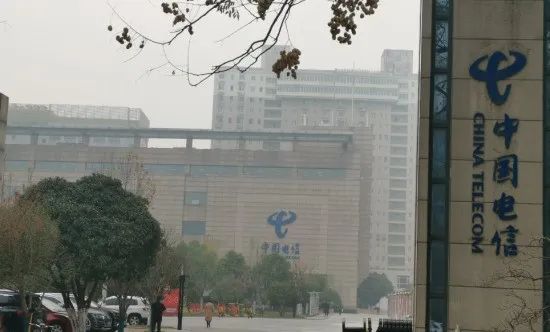 这位运营商省公司总经理不一般 去年业绩迎来喜人增长他功劳不浅