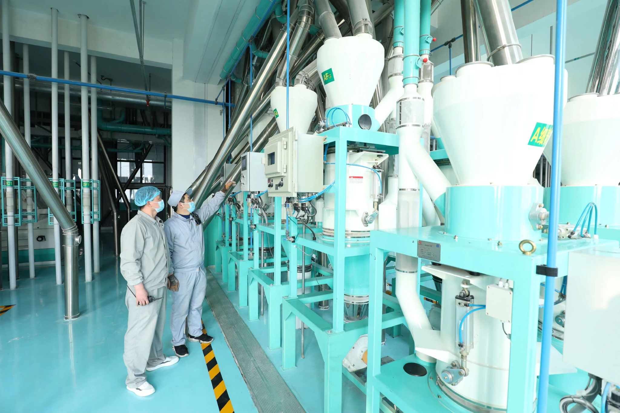 依托优质小麦种植河北大名培育食品加工产业集群