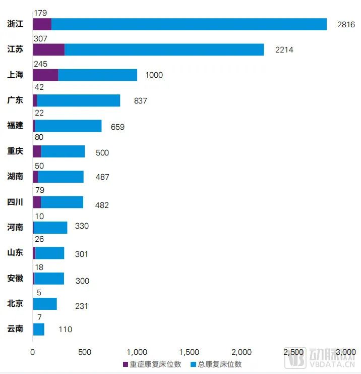 毕马威评选的31家领袖康复医院床位数分布 图源毕马威