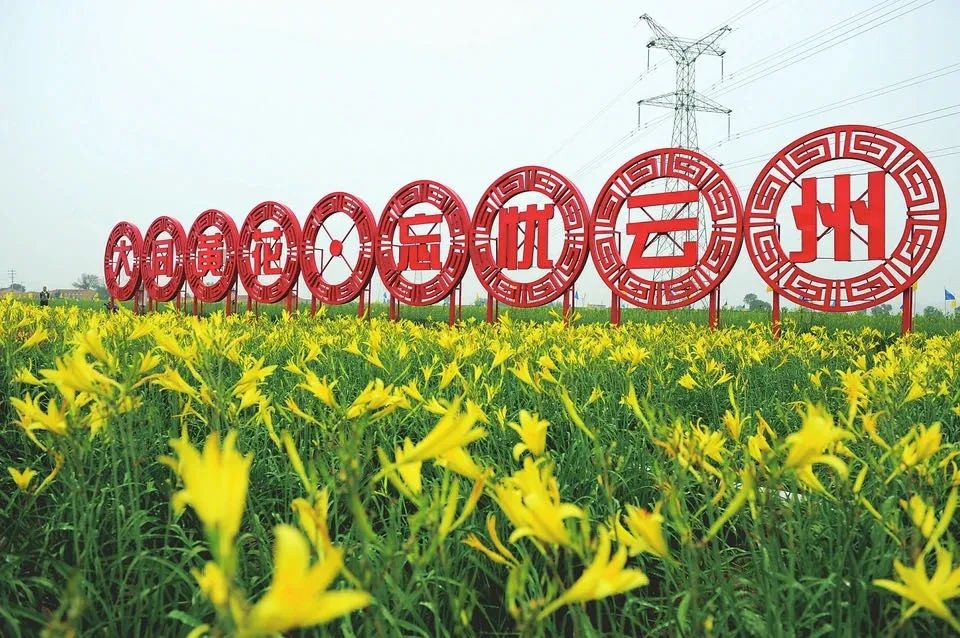 大同将建设国家黄花产品质量检验检测中心