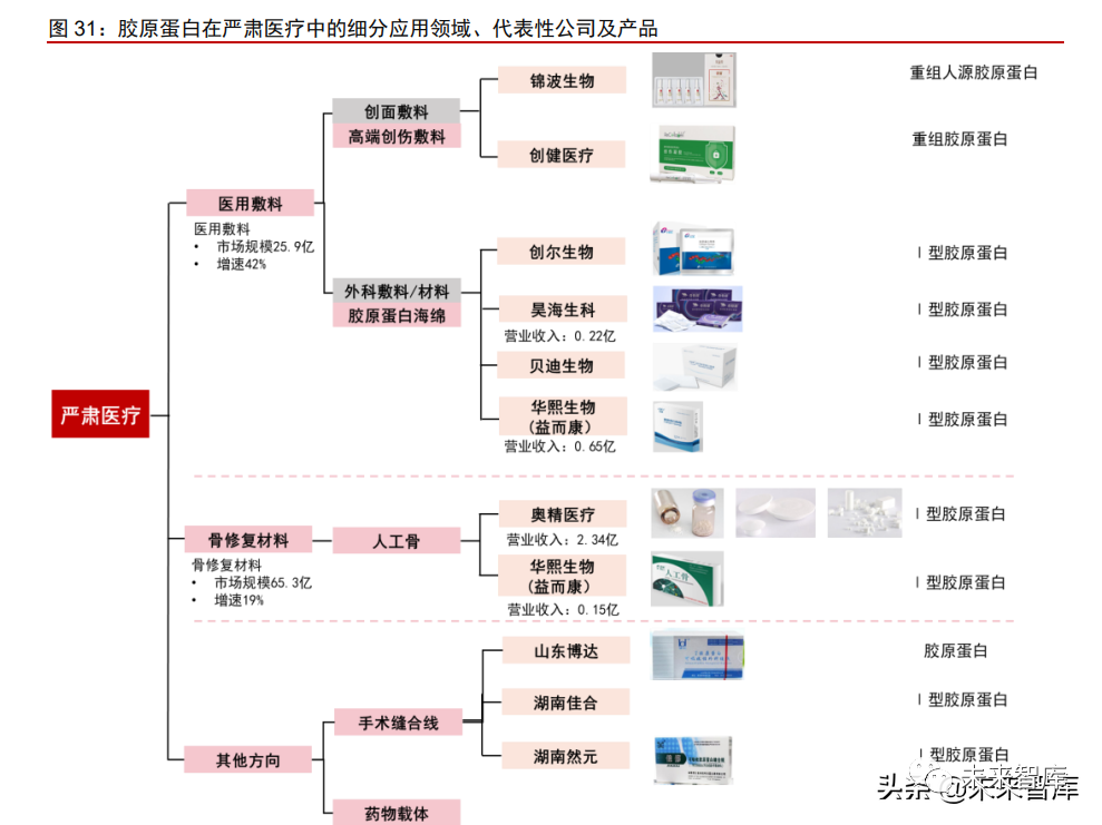 1类医疗器械有什么胶原蛋白行业深度报告：奏响美丽与健康新号角_https://www.jmylbn.com_新闻资讯_第8张