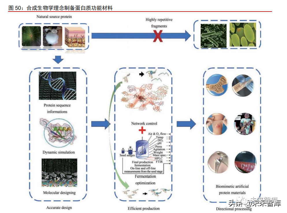 1类医疗器械有什么胶原蛋白行业深度报告：奏响美丽与健康新号角_https://www.jmylbn.com_新闻资讯_第16张