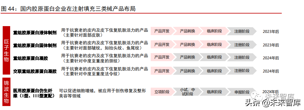 1类医疗器械有什么胶原蛋白行业深度报告：奏响美丽与健康新号角_https://www.jmylbn.com_新闻资讯_第13张