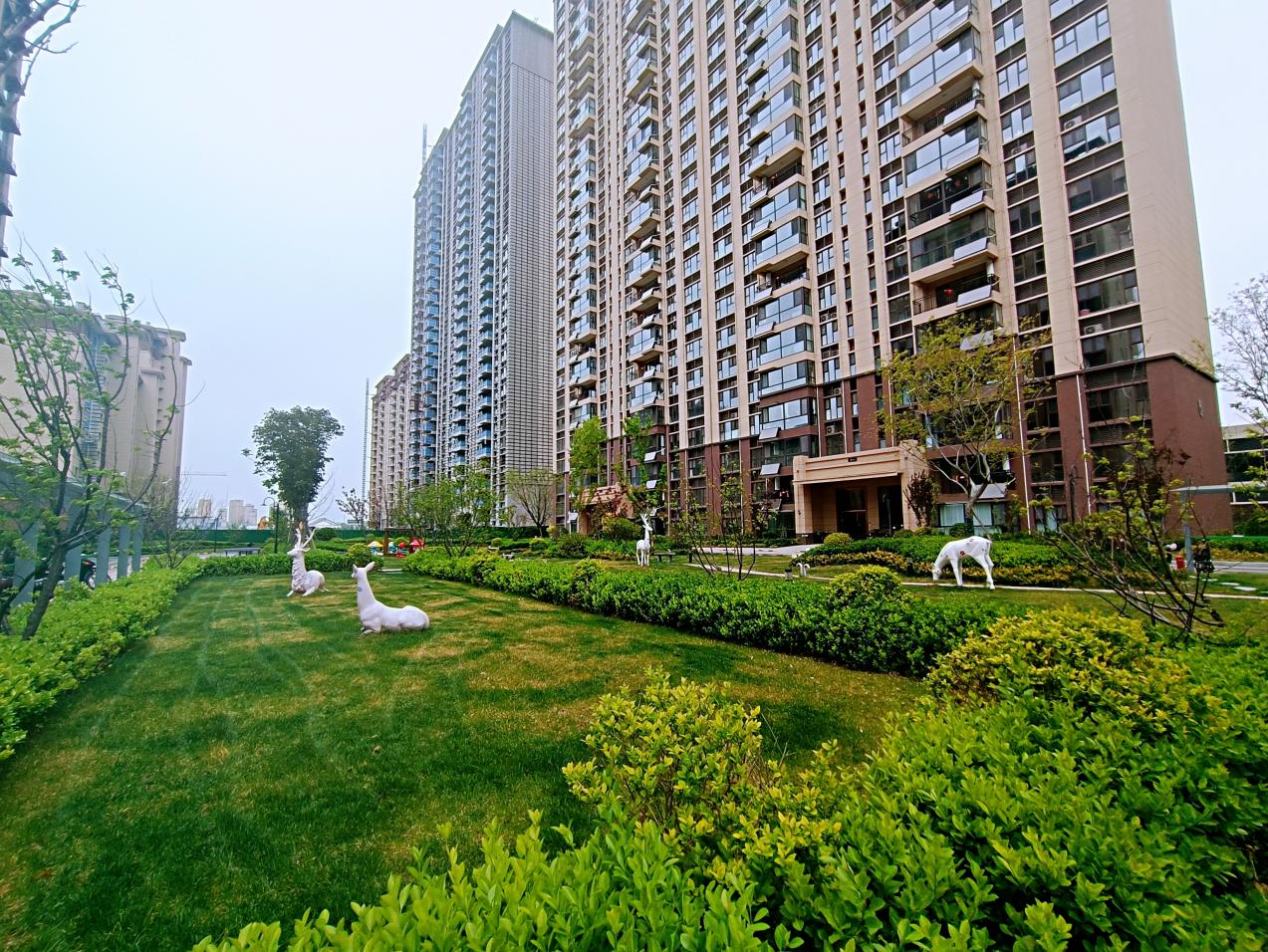 碧桂园郑州一项目长期停工 开发商与总包单位存