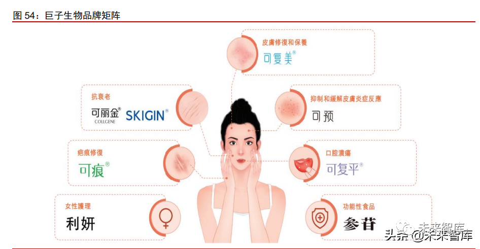 1类医疗器械有什么胶原蛋白行业深度报告：奏响美丽与健康新号角_https://www.jmylbn.com_新闻资讯_第18张