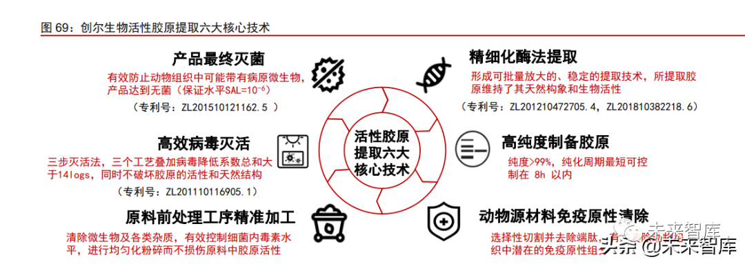 1类医疗器械有什么胶原蛋白行业深度报告：奏响美丽与健康新号角_https://www.jmylbn.com_新闻资讯_第22张
