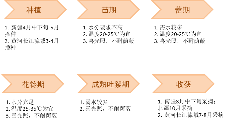 图11 棉花生长期及适应条件来源:重点农产品市场信息平台图10 棉花主