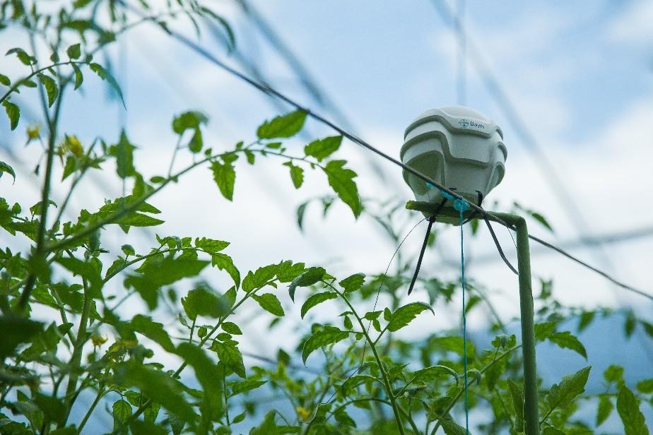 拜耳数字农业设施plantect传感器