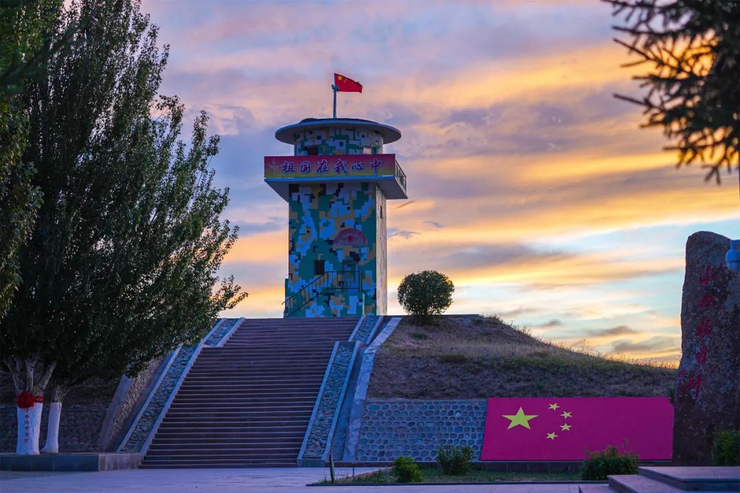 小白杨戍边40年种下它的老兵回来了