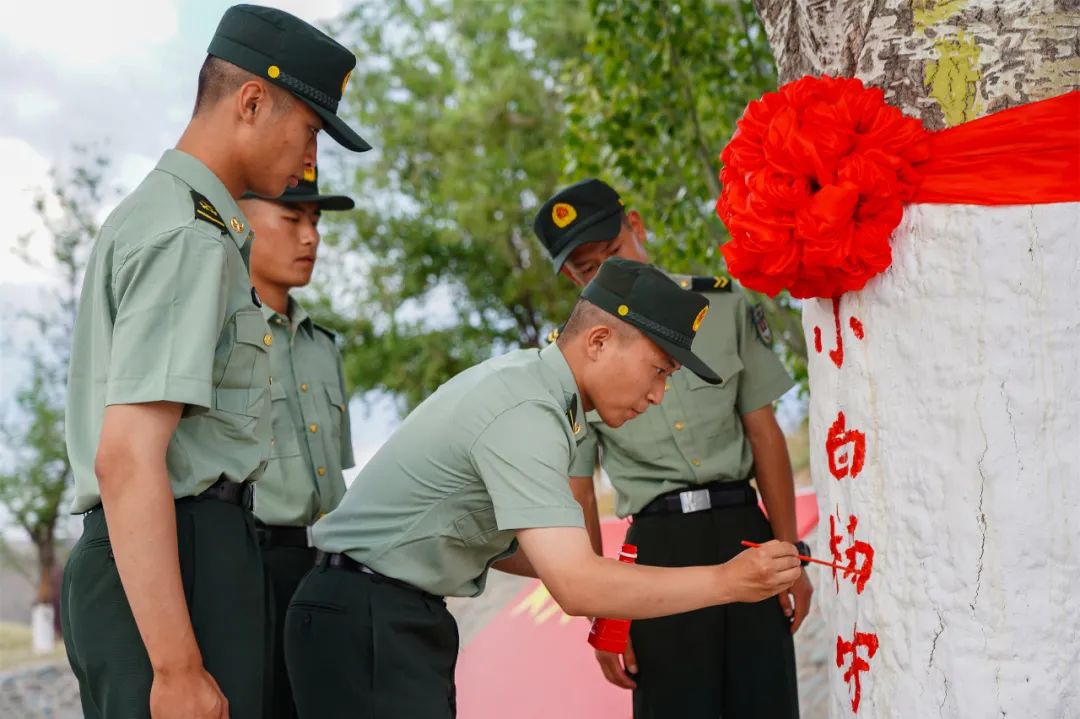 小白杨戍边40年种下它的老兵回来了