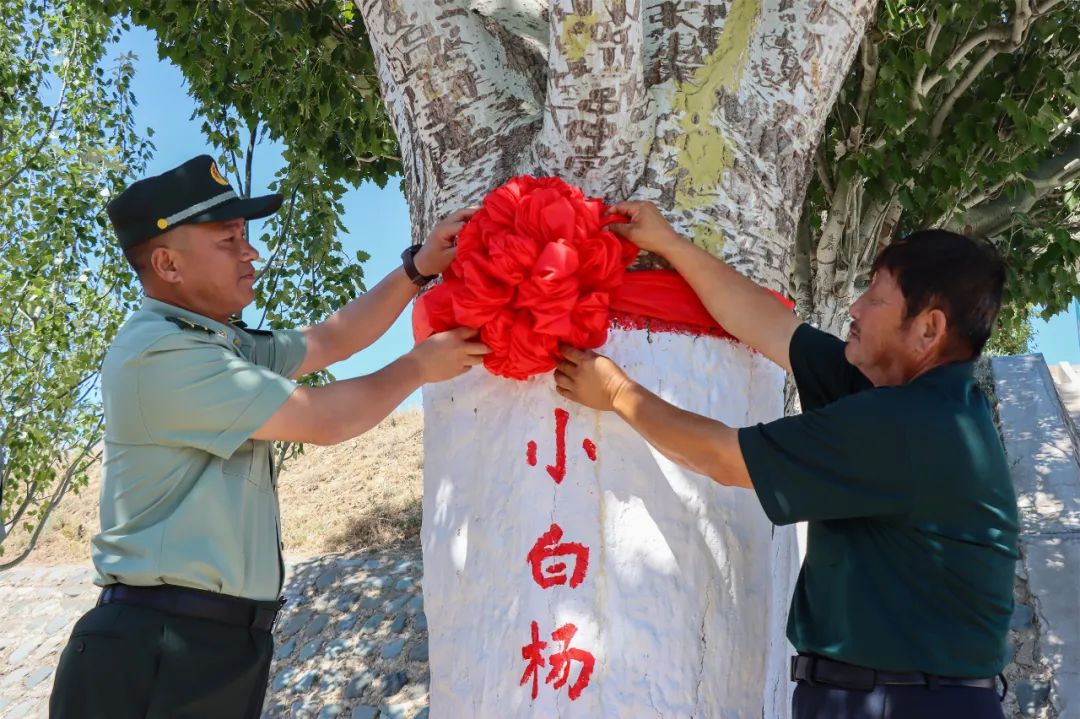 小白杨 军人图片