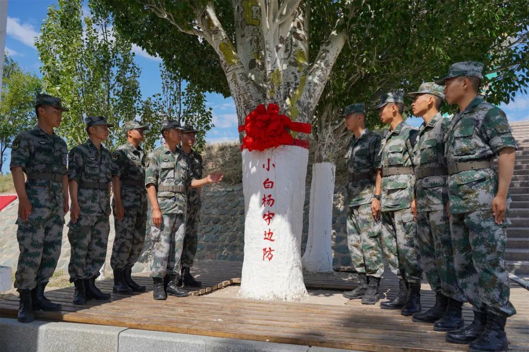 小白杨_新浪财经_新浪网