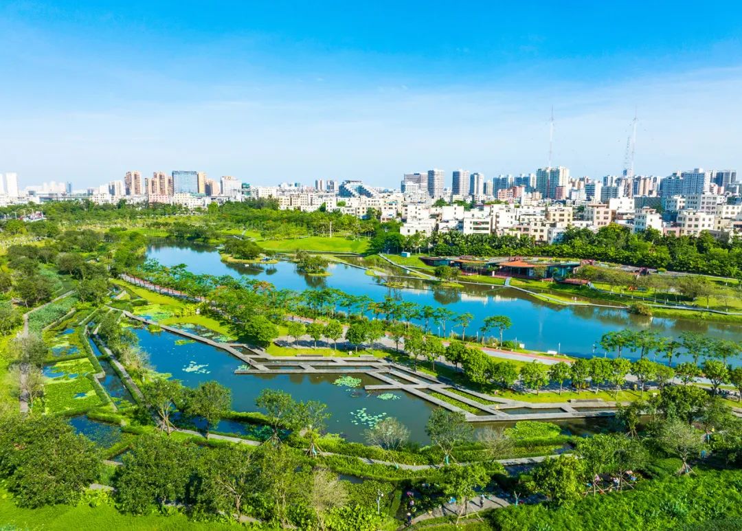 图为远眺美舍河凤翔湿地公园.