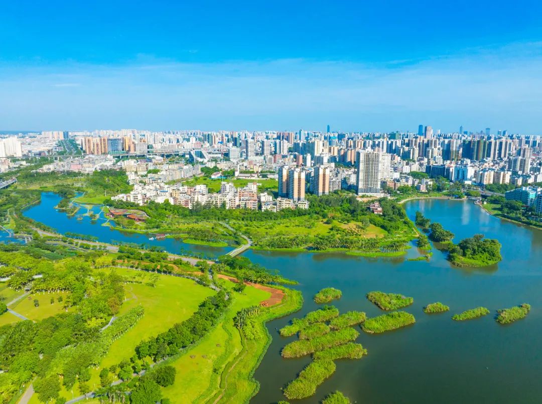 图为远眺美舍河凤翔湿地公园.