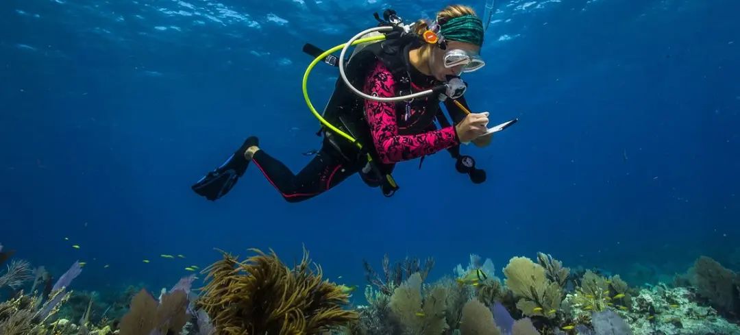 © Ocean Image Bank | 一位海洋科学家在美属萨摩亚潜水进行研究。