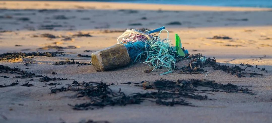  © Ocean Image Bank | 海洋面临的最大威胁之一是人为污染。