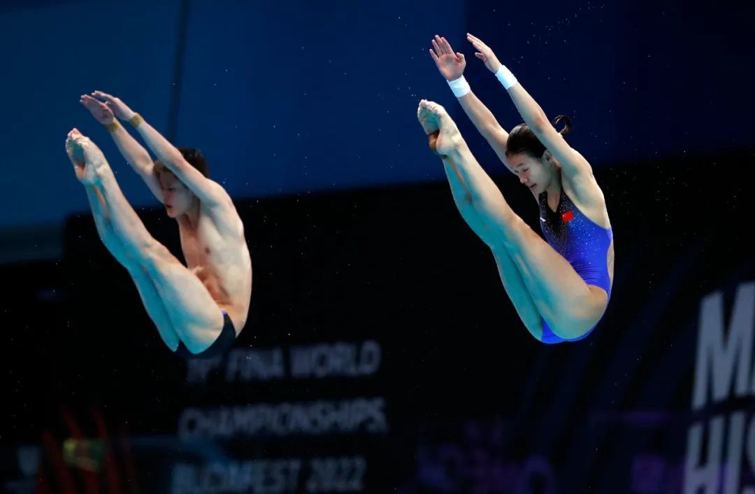 跳水梦之队包揽13!|跳水_新浪财经_新浪网