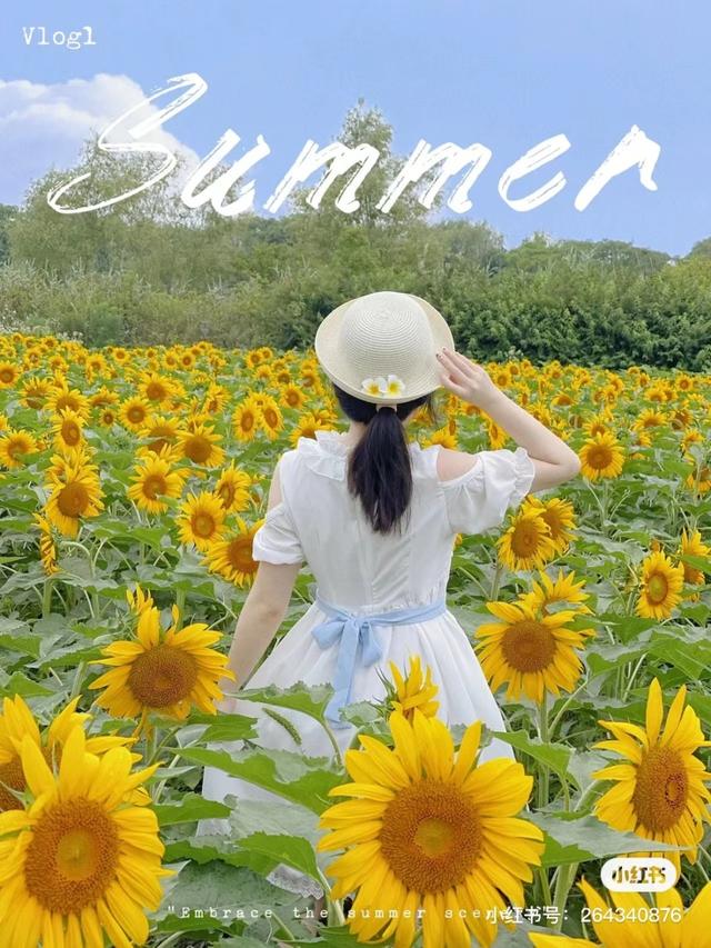 夏日限定浪漫邂逅油画般的向日葵花海